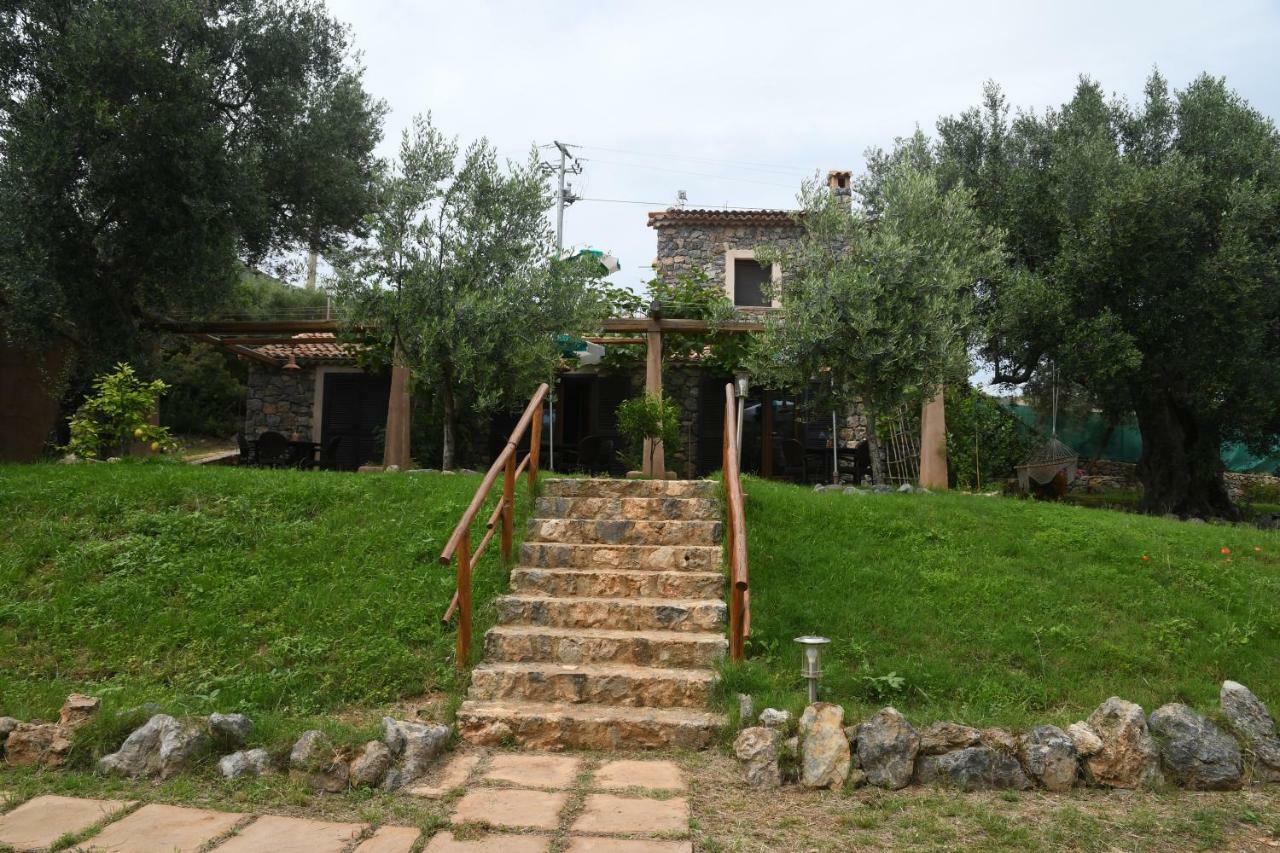 Le Case Di Arconte Marina di Camerota Εξωτερικό φωτογραφία