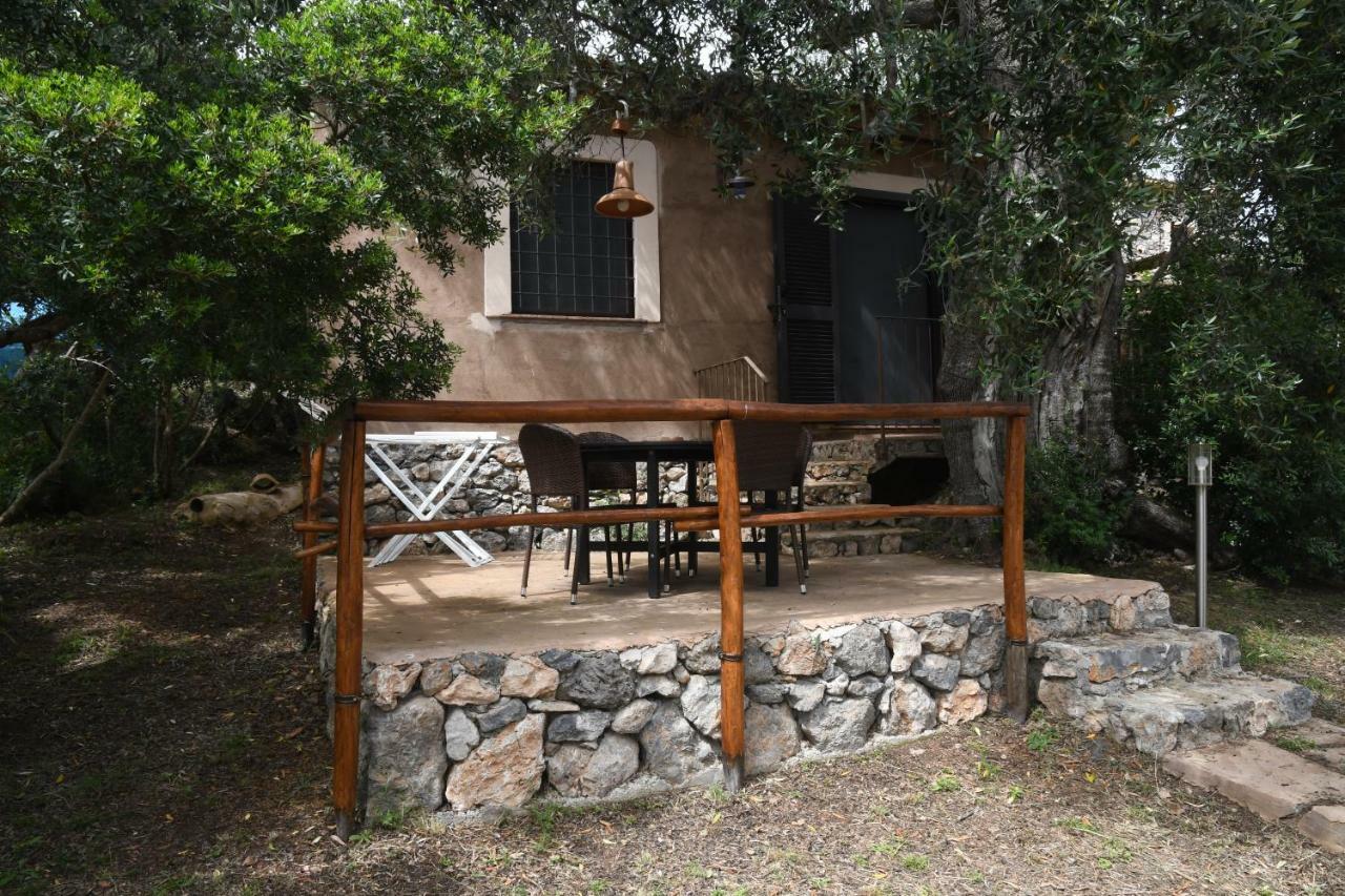 Le Case Di Arconte Marina di Camerota Εξωτερικό φωτογραφία
