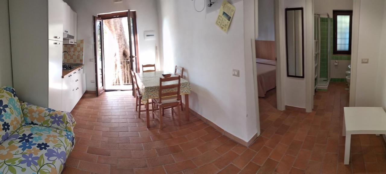 Le Case Di Arconte Marina di Camerota Εξωτερικό φωτογραφία